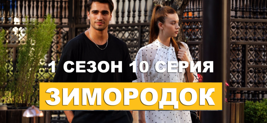 Зимородок 1 сезон 10 серия