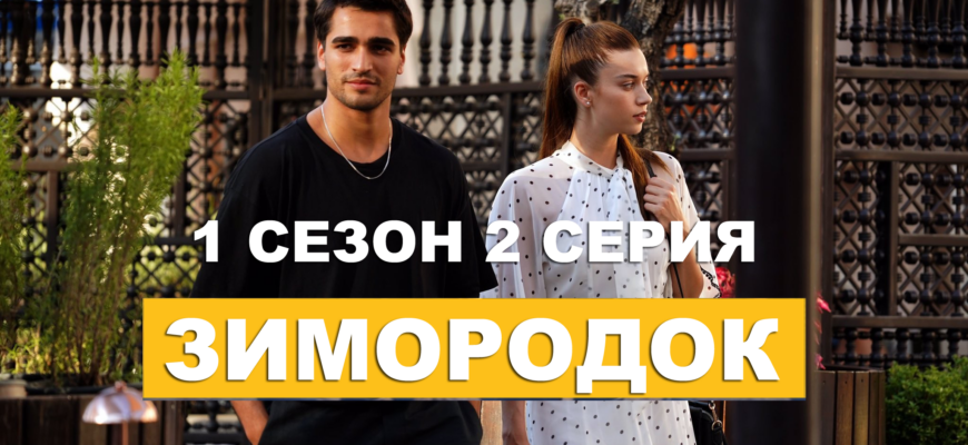 Зимородок 1 сезон 2 серия