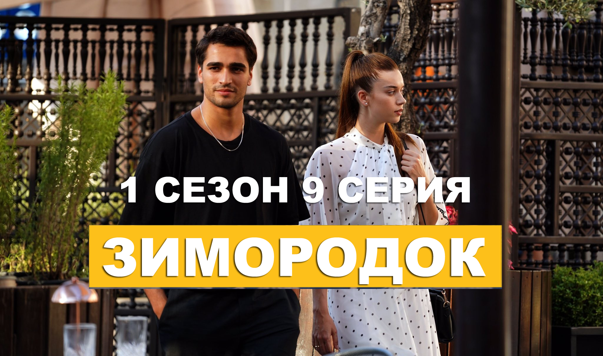 Зимородок 1 сезон 9 серия